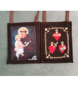 Scapular